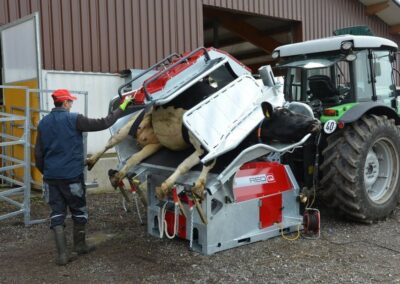 Hydraulická fixační klec pro skot RED Q
