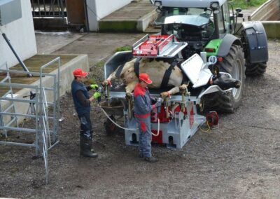 Hydraulická fixační klec pro skot RED Q