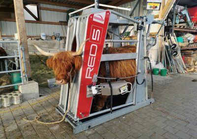 Průchozí fixační klec pro skot s elektrickým ovládáním RED 5