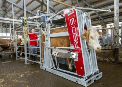 Průchozí fixační klec pro skot s elektrickým ovládáním RED 5
