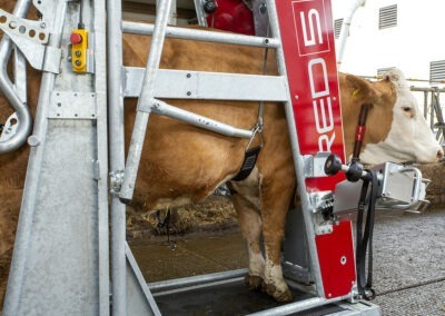 Průchozí fixační klec pro skot s elektrickým ovládáním RED 5