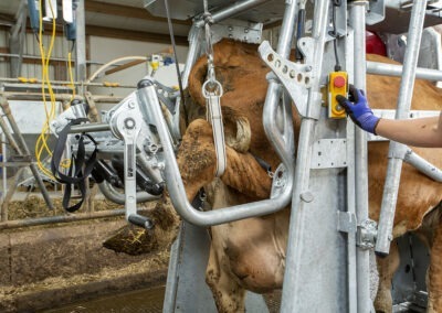 Průchozí fixační klec pro skot s elektrickým ovládáním RED 5
