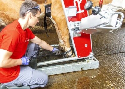 Průchozí fixační klec pro skot s elektrickým ovládáním RED 5