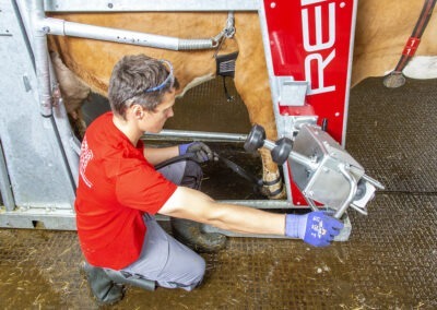 Průchozí fixační klec pro skot s elektrickým ovládáním RED 5