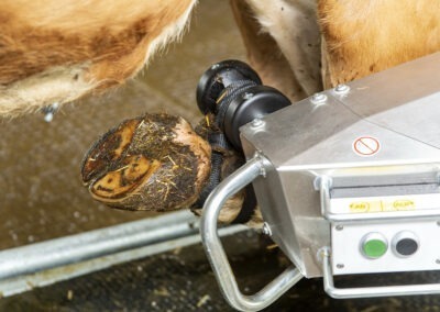 Průchozí fixační klec pro skot s elektrickým ovládáním RED 5