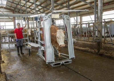 Průchozí fixační klec pro skot s elektrickým ovládáním RED 5