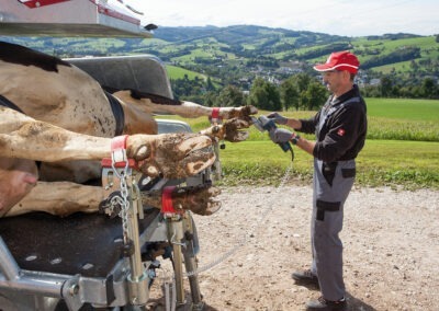 Hydraulická fixační klec pro skot RED Q