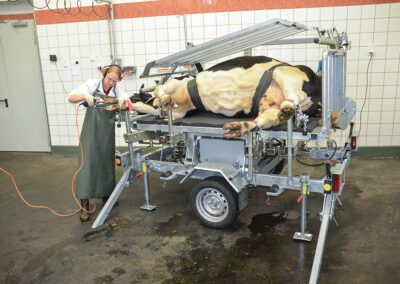 Veterinární box VET PRO