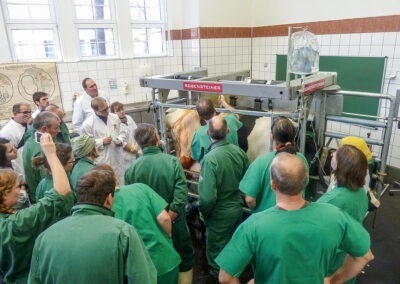 Veterinární box VET PRO
