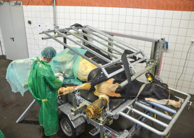 Veterinární box VET PRO