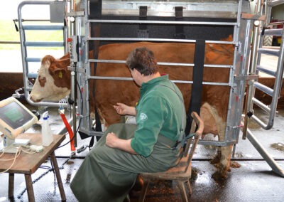 Veterinární box VET PRO