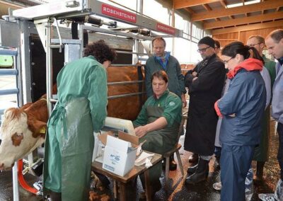 Veterinární box VET PRO