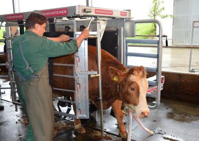 Veterinární box VET PRO