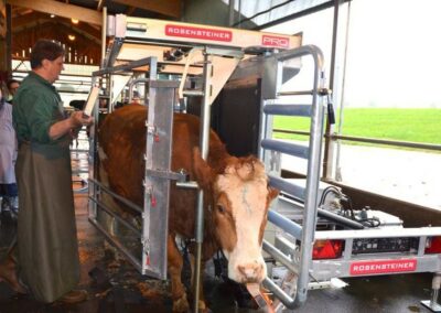 Veterinární box VET PRO