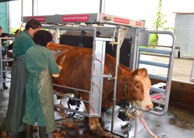 Veterinární box VET PRO