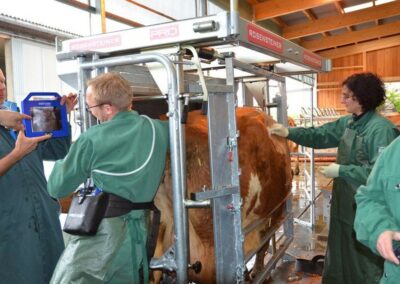 Veterinární box VET PRO