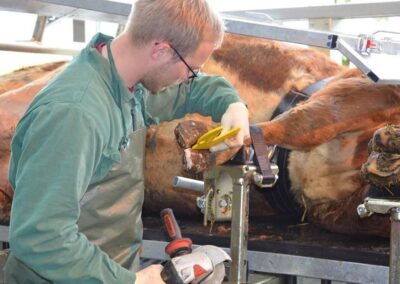 Veterinární box VET PRO
