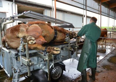 Veterinární box VET PRO